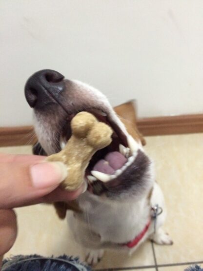 Doggy Treats